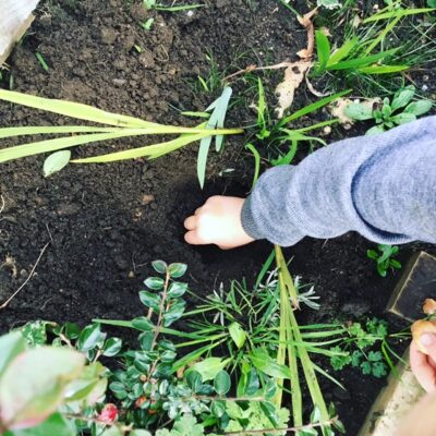 Understanding the World at Home